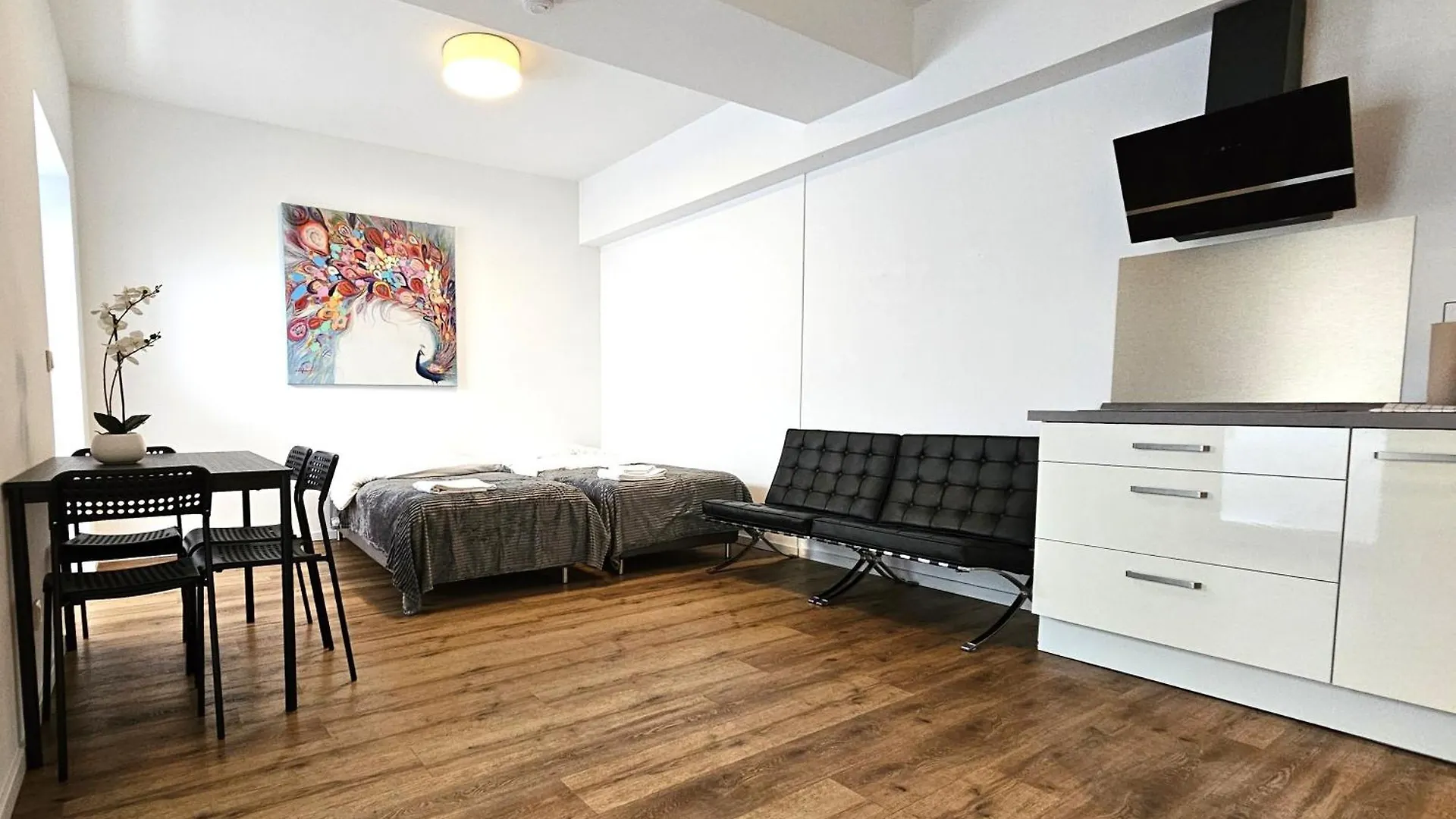 Old Town Apartments Ντίσελντορφ Γερμανία
